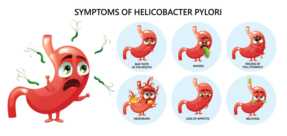 Helicobacter 3